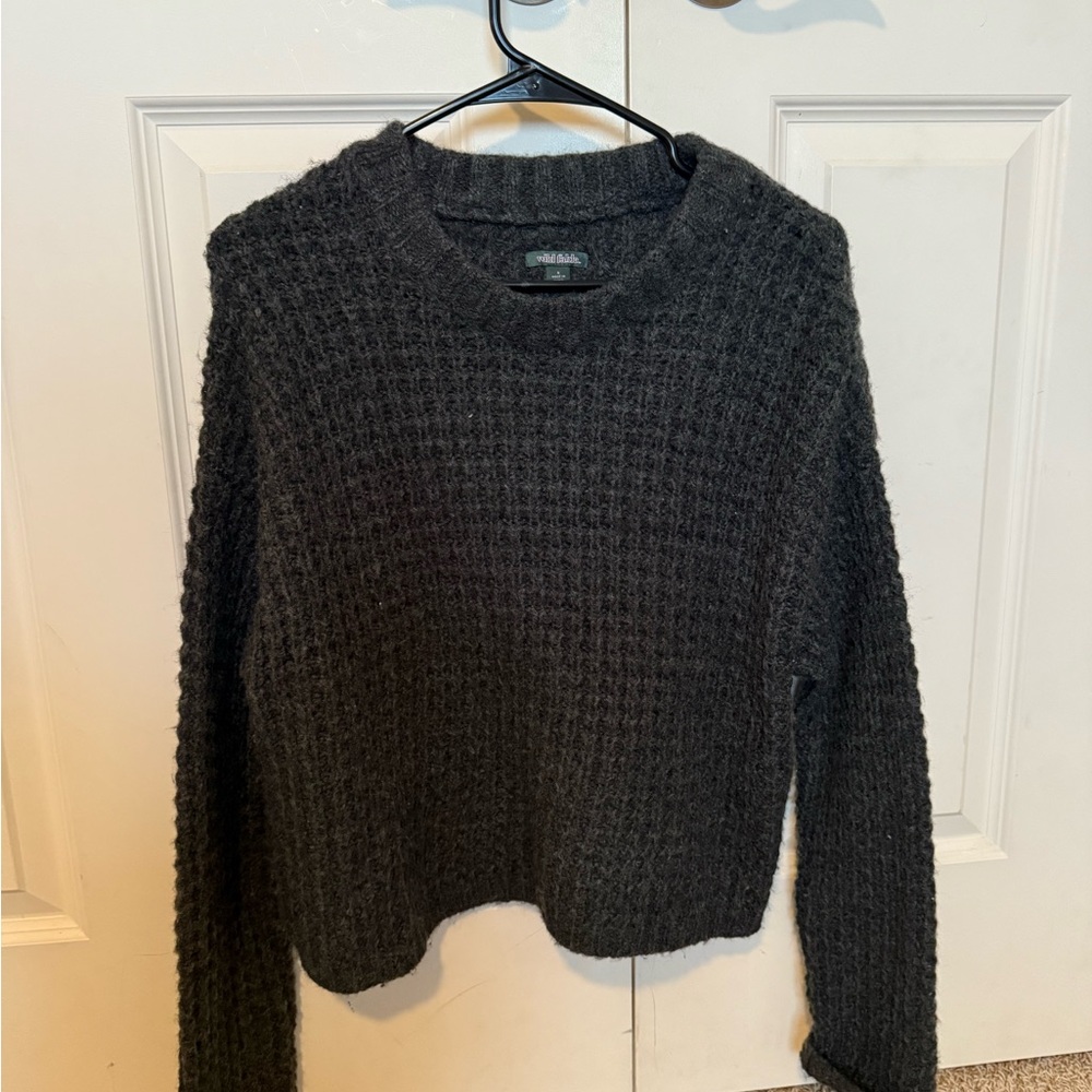 Target/ Wild Fable sweater